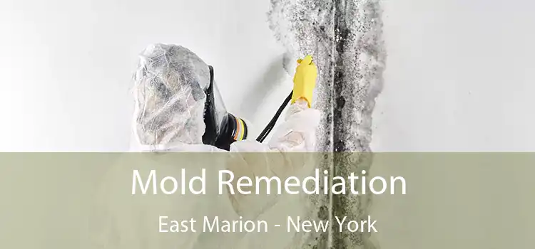 Mold Remediation East Marion - New York