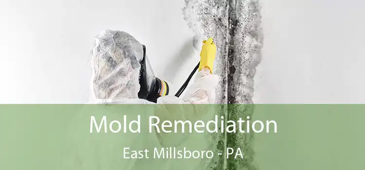 Mold Remediation East Millsboro - PA