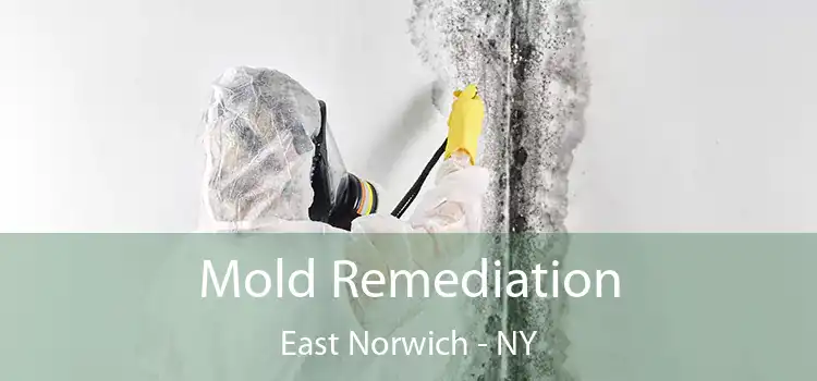 Mold Remediation East Norwich - NY