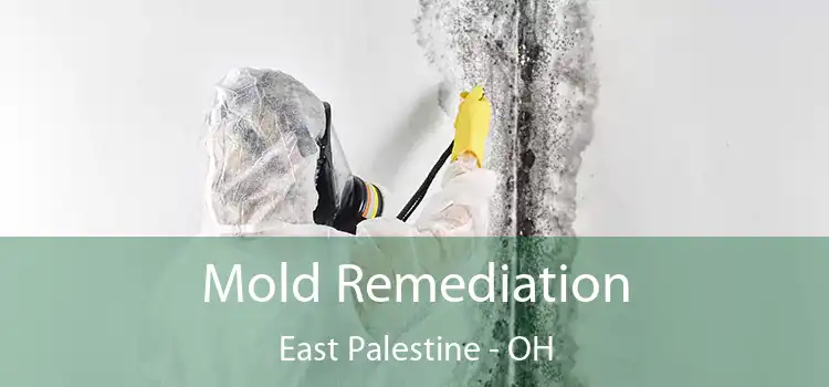 Mold Remediation East Palestine - OH