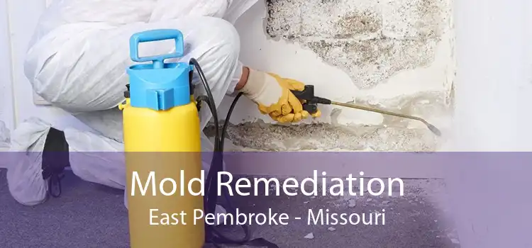 Mold Remediation East Pembroke - Missouri