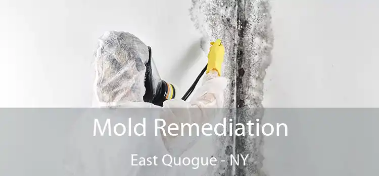 Mold Remediation East Quogue - NY