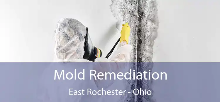 Mold Remediation East Rochester - Ohio