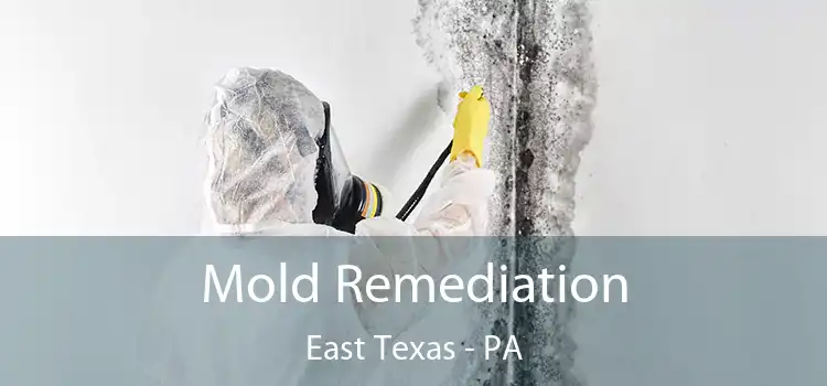 Mold Remediation East Texas - PA