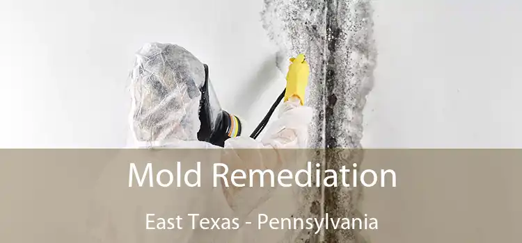 Mold Remediation East Texas - Pennsylvania