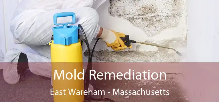 Mold Remediation East Wareham - Massachusetts