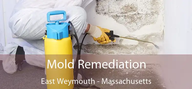 Mold Remediation East Weymouth - Massachusetts