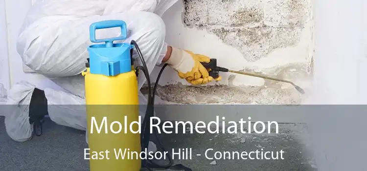 Mold Remediation East Windsor Hill - Connecticut