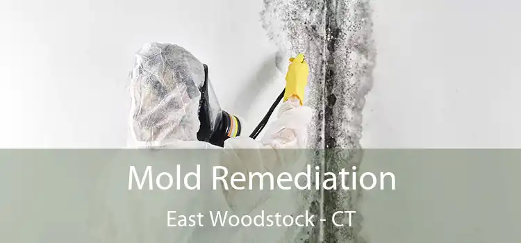 Mold Remediation East Woodstock - CT