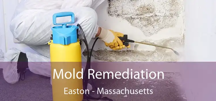 Mold Remediation Easton - Massachusetts