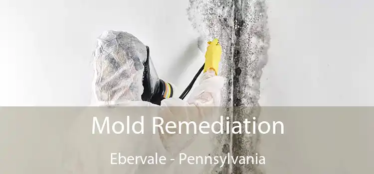 Mold Remediation Ebervale - Pennsylvania