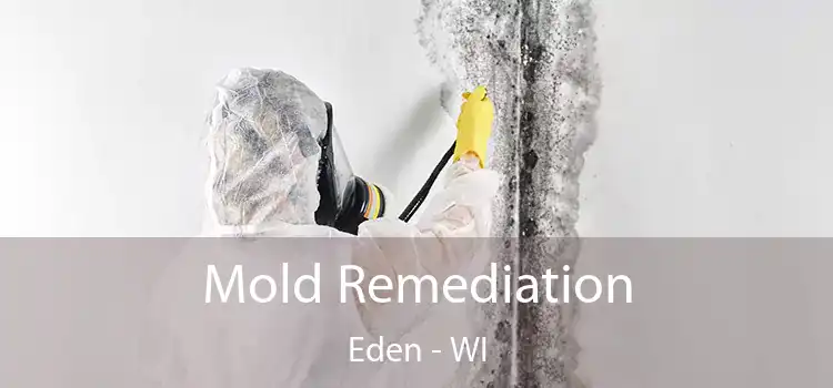 Mold Remediation Eden - WI