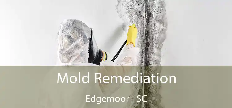 Mold Remediation Edgemoor - SC