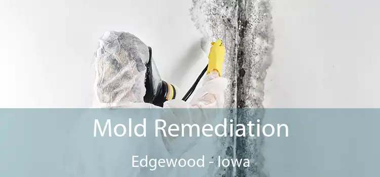 Mold Remediation Edgewood - Iowa