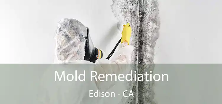 Mold Remediation Edison - CA