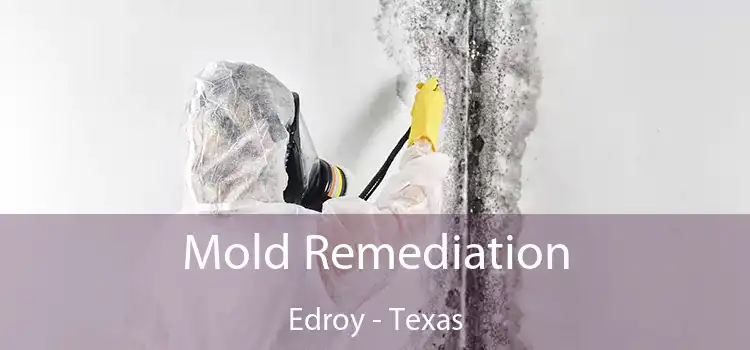 Mold Remediation Edroy - Texas