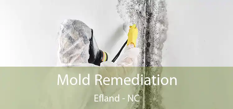 Mold Remediation Efland - NC