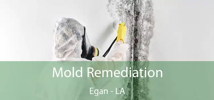 Mold Remediation Egan - LA