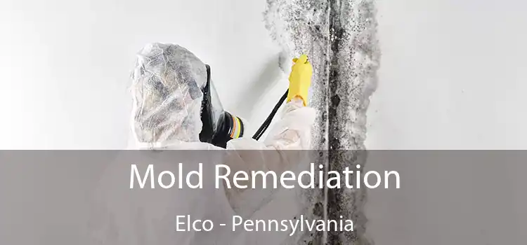 Mold Remediation Elco - Pennsylvania