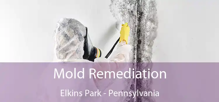 Mold Remediation Elkins Park - Pennsylvania