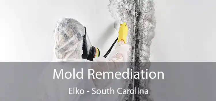 Mold Remediation Elko - South Carolina