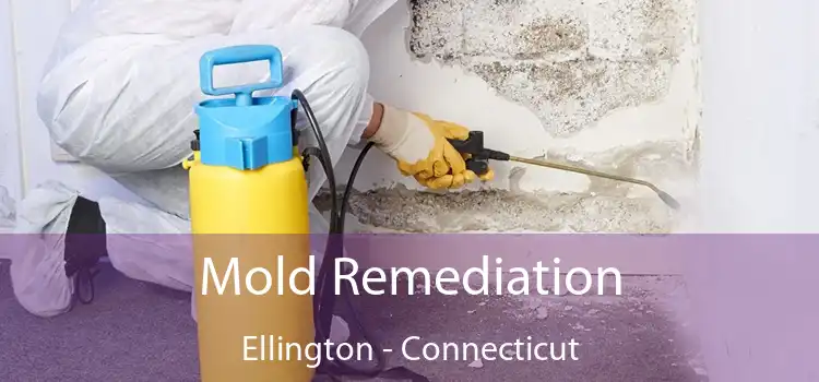 Mold Remediation Ellington - Connecticut