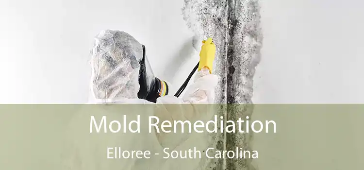 Mold Remediation Elloree - South Carolina