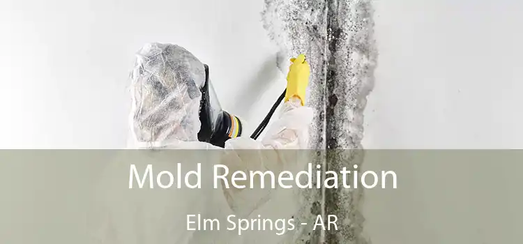 Mold Remediation Elm Springs - AR