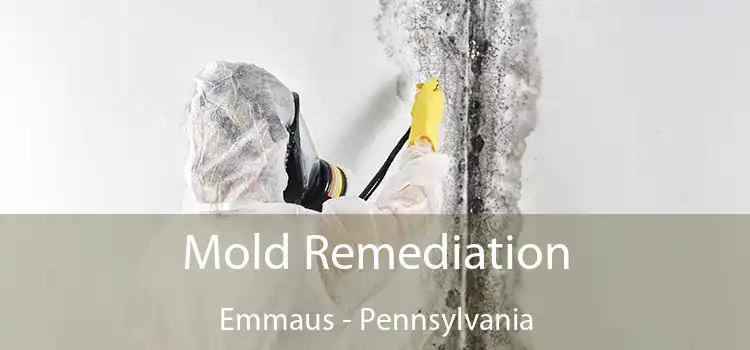 Mold Remediation Emmaus - Pennsylvania