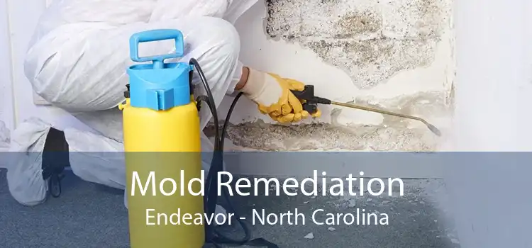 Mold Remediation Endeavor - North Carolina