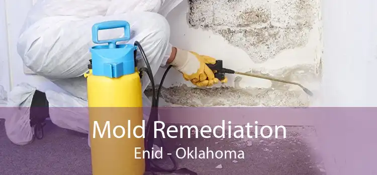 Mold Remediation Enid - Oklahoma