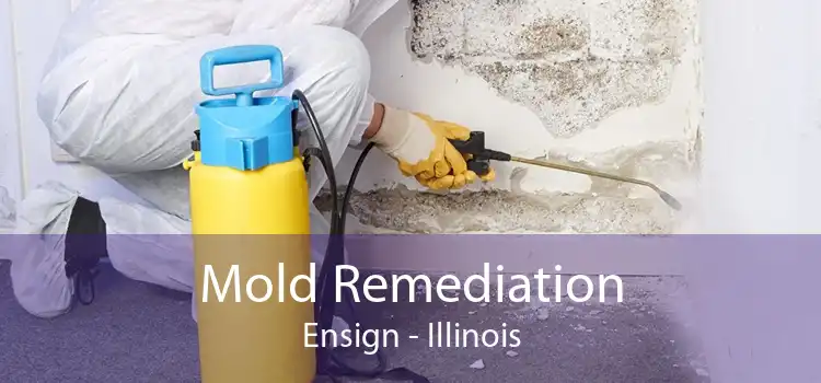 Mold Remediation Ensign - Illinois