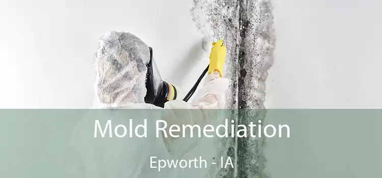 Mold Remediation Epworth - IA