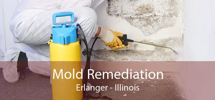 Mold Remediation Erlanger - Illinois