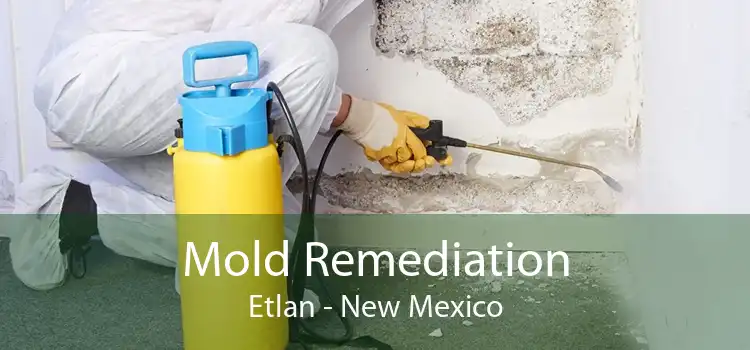 Mold Remediation Etlan - New Mexico