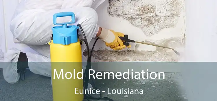 Mold Remediation Eunice - Louisiana