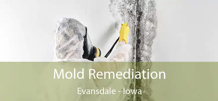 Mold Remediation Evansdale - Iowa