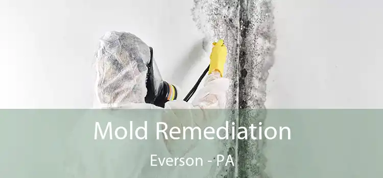 Mold Remediation Everson - PA