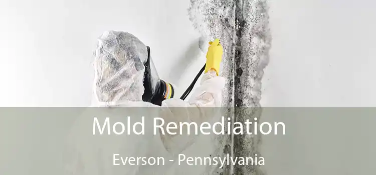 Mold Remediation Everson - Pennsylvania