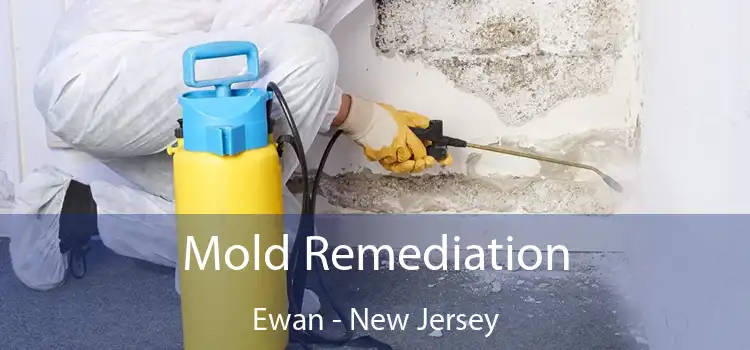 Mold Remediation Ewan - New Jersey