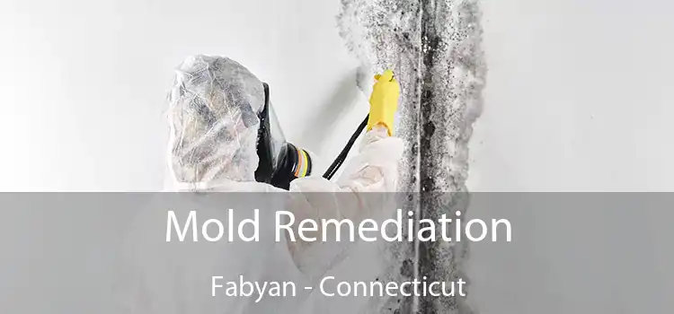 Mold Remediation Fabyan - Connecticut