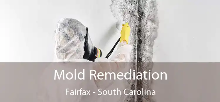 Mold Remediation Fairfax - South Carolina