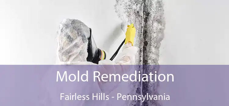 Mold Remediation Fairless Hills - Pennsylvania