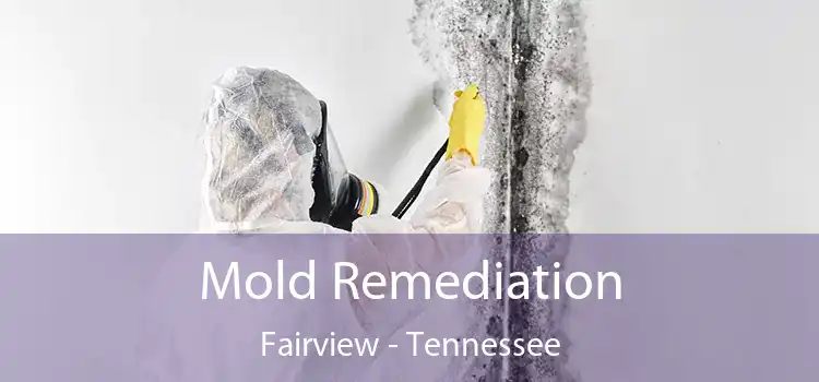 Mold Remediation Fairview - Tennessee