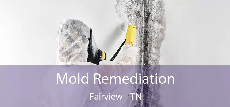 Mold Remediation Fairview - TN