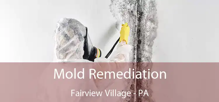 Mold Remediation Fairview Village - PA