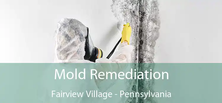 Mold Remediation Fairview Village - Pennsylvania