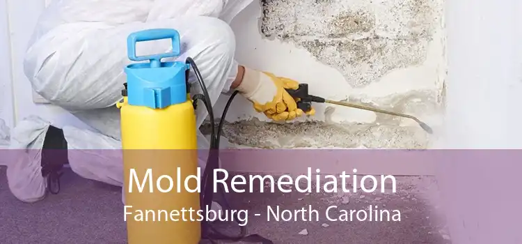 Mold Remediation Fannettsburg - North Carolina