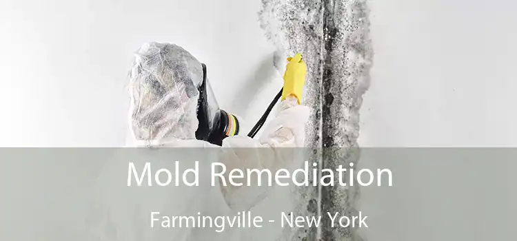 Mold Remediation Farmingville - New York