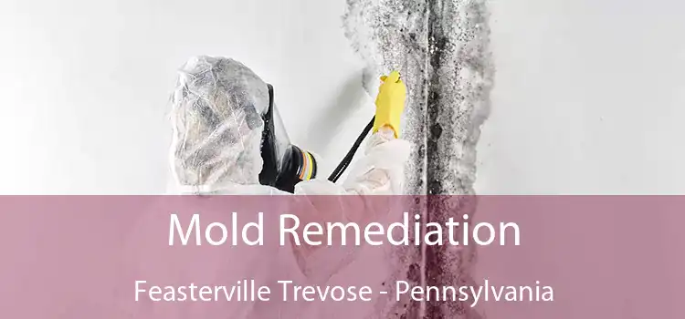 Mold Remediation Feasterville Trevose - Pennsylvania